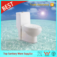 foshan sanitario alemán baño diseño